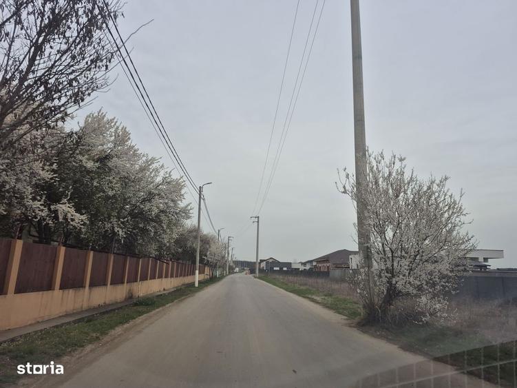 Lot Balotesti,electricitate,gaz,canalizare,apa curenta la teren - 7