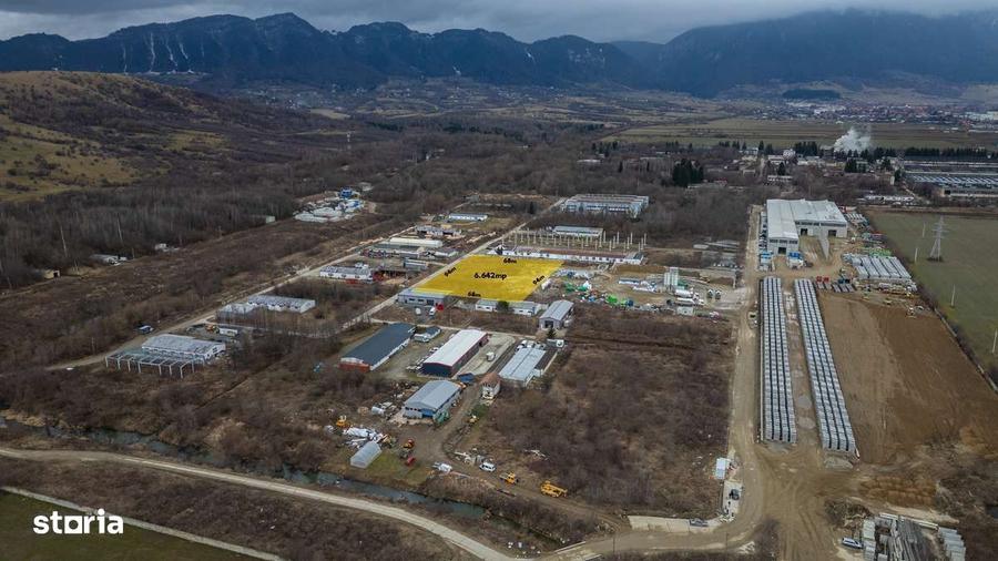 Teren 6500mp Intravilan - Parcul Industrial Zarnesti - Deschidere 94m - 5