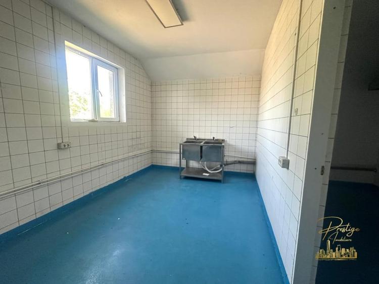 Spatiu industrial - productie alimentara de inchiriat str. Fabricilor - 11