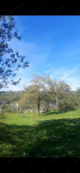 4300eu-?inutul Padurenilor jud Hunedoara - 6