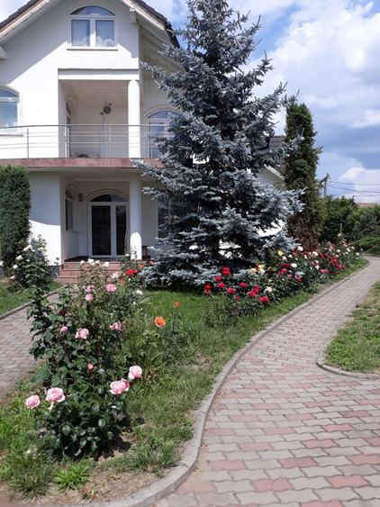 Vand casa lux,tip vila,Sangeorgiu de Mures,zona Apollo ,teren generos de 2200 mp - 7