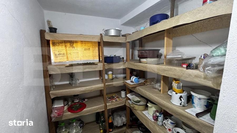 Proprietate cu 2 case, 3.345 mp teren, Balota de Jos, comuna Murgasi - 17