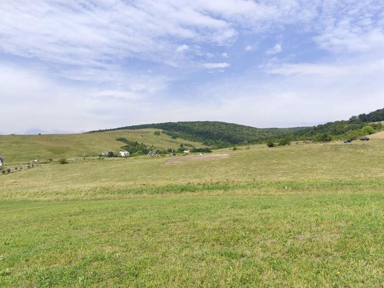 Teren construibil intravilan 5.000 mp parcelat in 2400mp + 2000mp cu drum- Piatra Neamt - 6