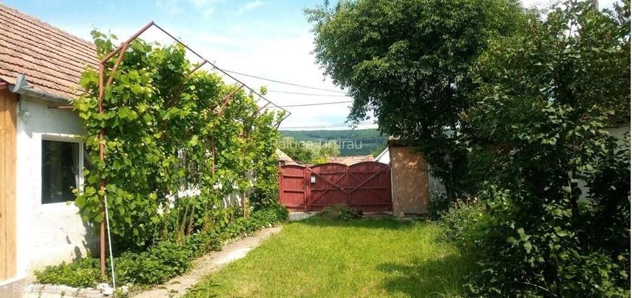 CASA 100 MP | 710 MP TEREN | 3 CAMERE |HOMOROD-3KM RUPEA||