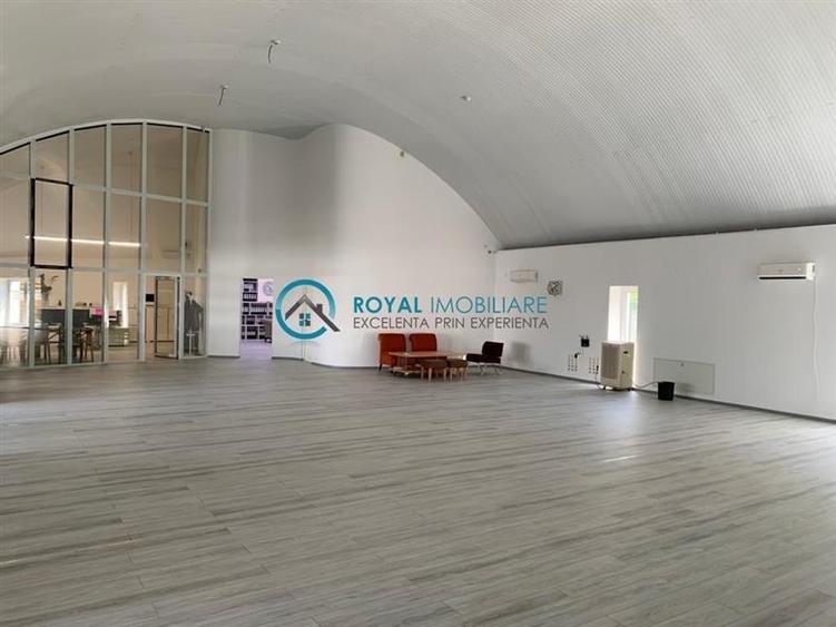 Royal Imobiliare - Inchiriere spatiu industrial zona Bucov - 2