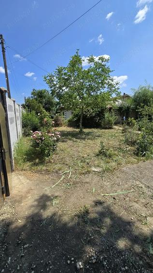 Teren si casa batraneasca - 1