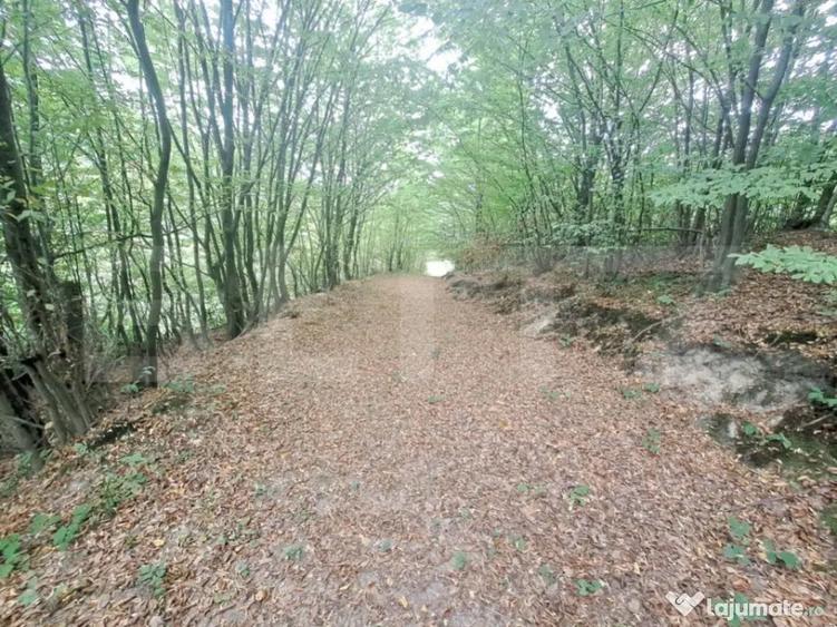 Casa de vanzare Colonia 1 Mai 75.000 EURO - 10