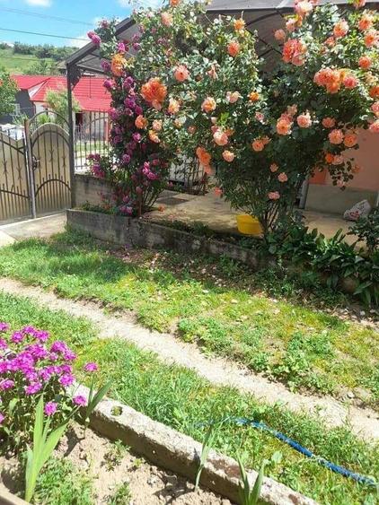 Vand casa cu gradina in bontida 2camere hol bucatarie baie terasa,internet,supraveghere video,Banfy - 7