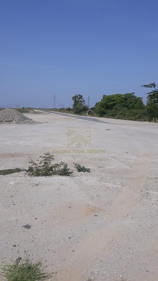 Spre Vanzare - Teren Intravilan - Vitanul Nou - Palady - 5