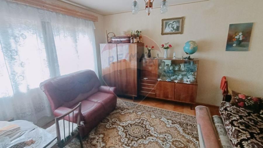 CASA + Casuta - DE VANZARE in Baia Sprie - 13