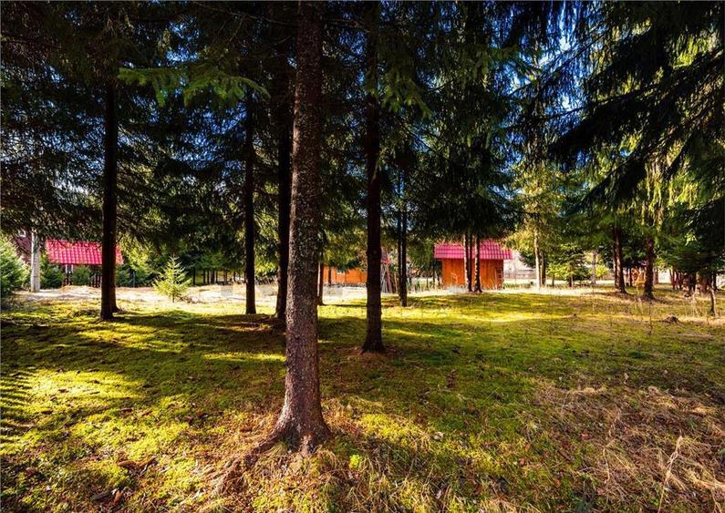 Pensiune cu 10 camere si 3700 mp teren, Arieseni - 4