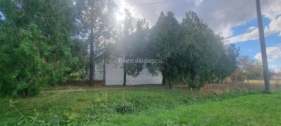 Casa de vanzare in Serbia, sat Vojvoda Stepa (10 minute de vama cu Jimbolia)