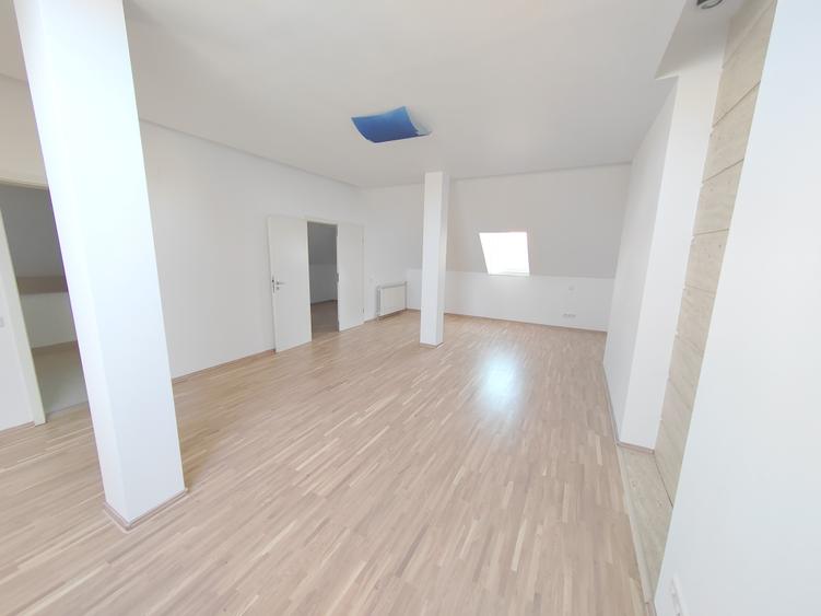 Floreasca vila 7 camere renovata - 5