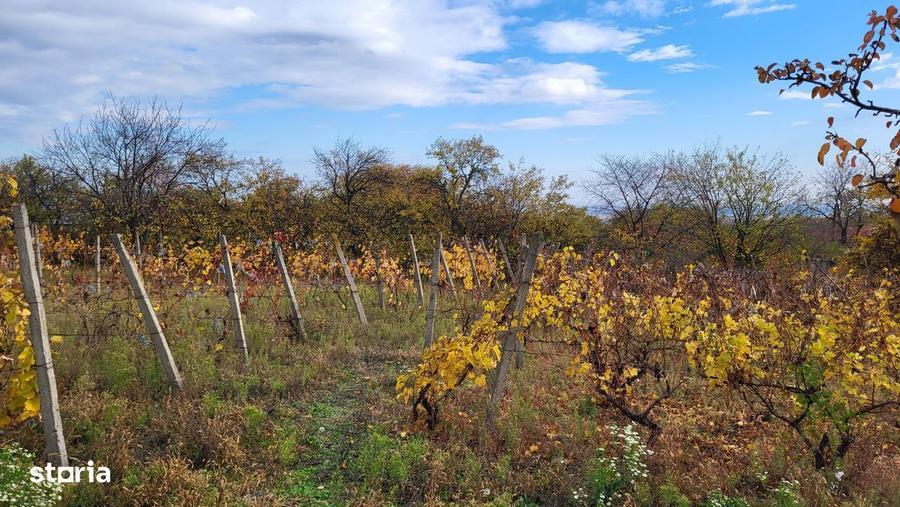 Casa de vanzare, 4 camere, teren 3200mp - 4