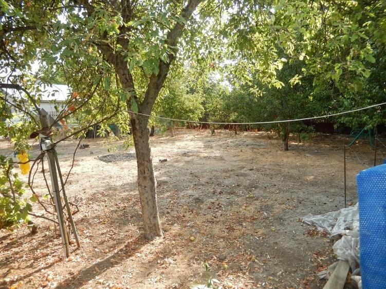 Calugareni-Branistari-casa 4 camere, teren 1965 mp, curent, put, libera,69900 € - 25