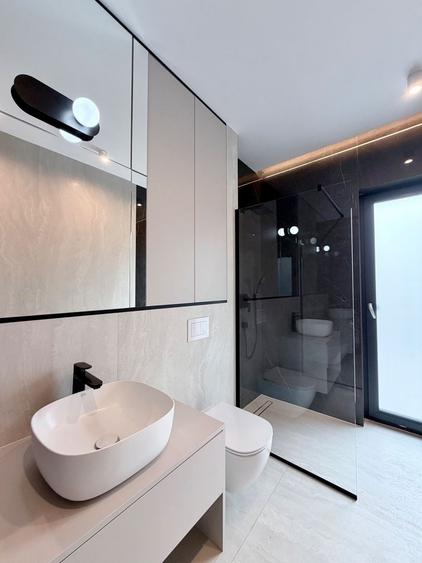 PROIECT DEOSEBIT ZONA LIPOVEI - 4