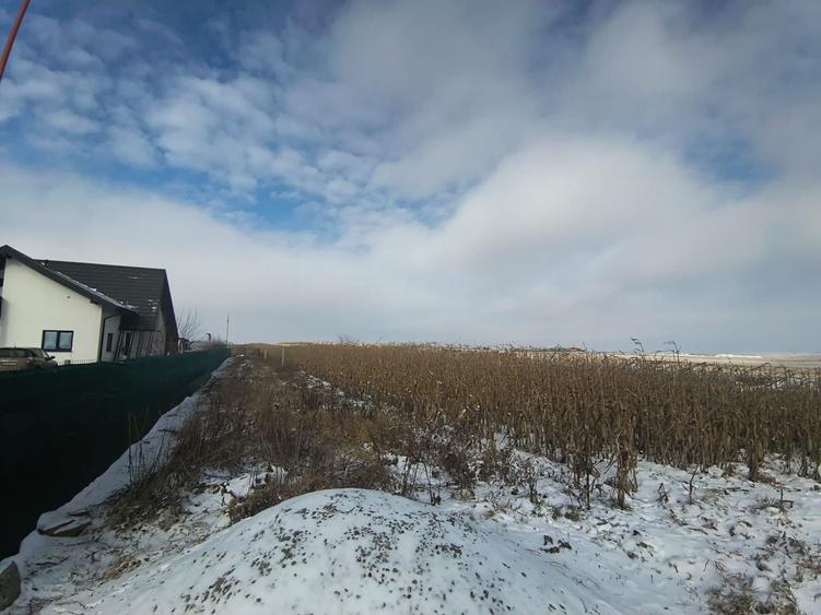 Teren de vânzare Șcheia | Sfantu Ilie | 3.361 mp - 4