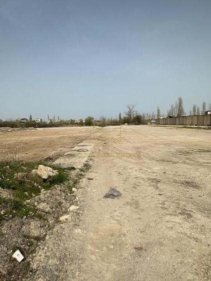 Spre Vanzare - Teren Intravilan - Vitanul Nou - Palady - 5