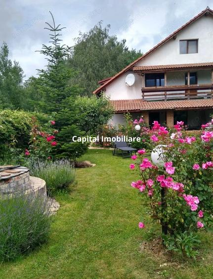 House for sale, 5 Rooms, 180 sqm, Valea Dejani - 9