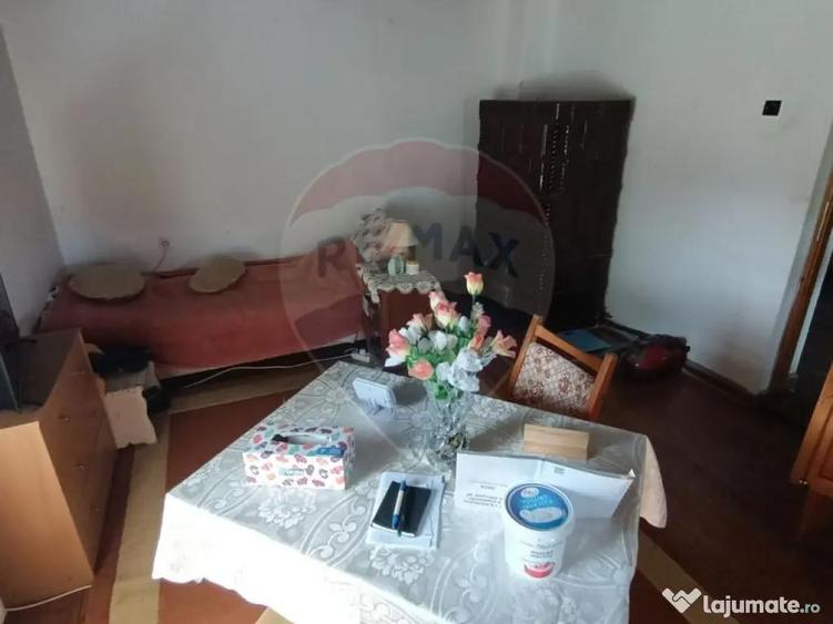 Casa de vanzare in stil vechi cu 3 camere si 3 arii i... - 10