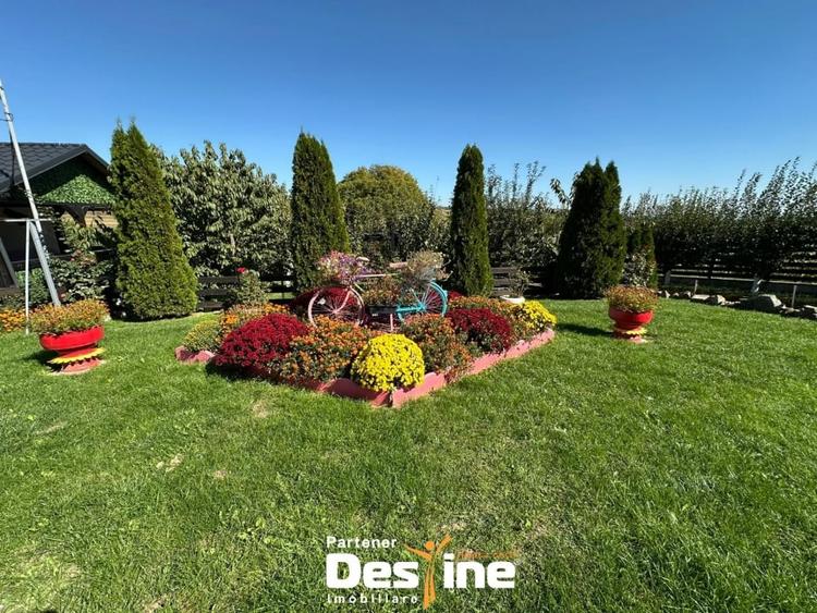 Proprietate spatioasa cu potential turistic in Bucovina Mica – Tatarusi, sat Uda - 3