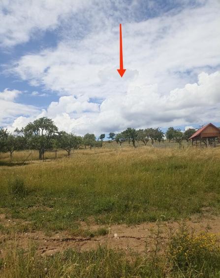 De vanzare teren extravilan in Valea Crisului - 5