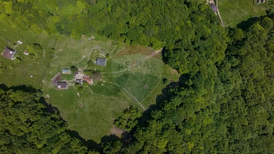 Teren de vanzare Colonia 1 Mai, 5.310 mp, ideal pentru investi?ie - 8