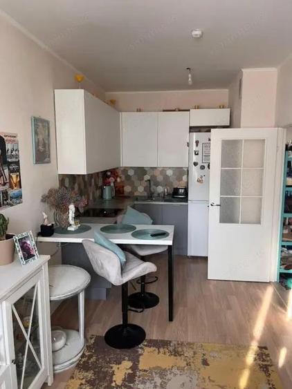 Apartament cu 1 camera de inchiriat in zona Torontalului - 2