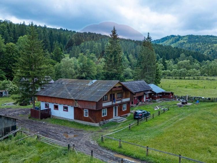 Ferma de vanzare, teren 21436 mp intravilan, Cosnea, Agas - 1