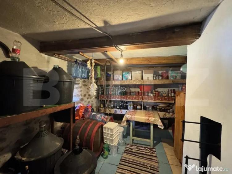 Casa plan parter cu 4 camere, 160 mp si 13000 mp teren, zona - 8