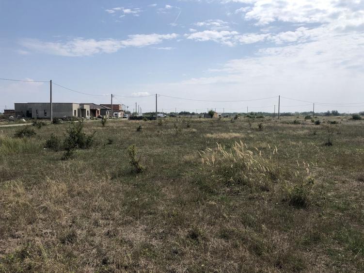 Teren Mosnita Noua, zona Albina - 4