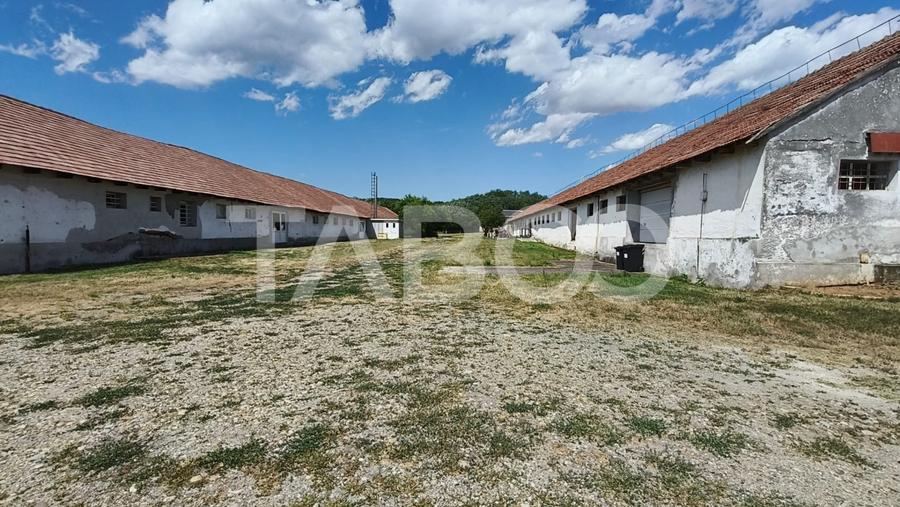 Platforma industriala cu cladiri de vanzare in Salistea de Alba - 25