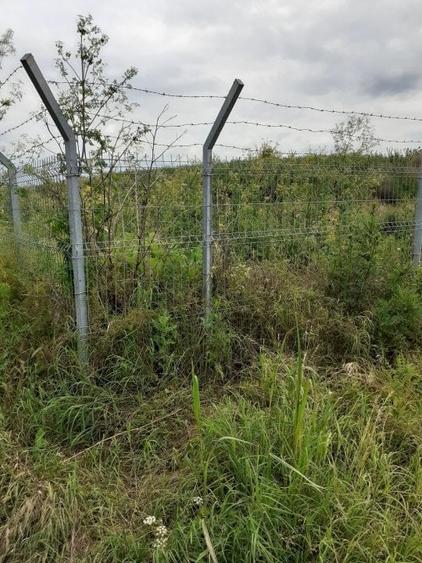 Teren intravilan Fundulea, 2750/25, utilități, ieftin, aproape de balta - 7