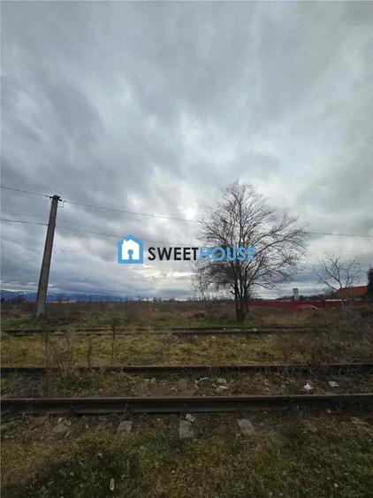 Terenuri de vanzare in Fagaras - 2