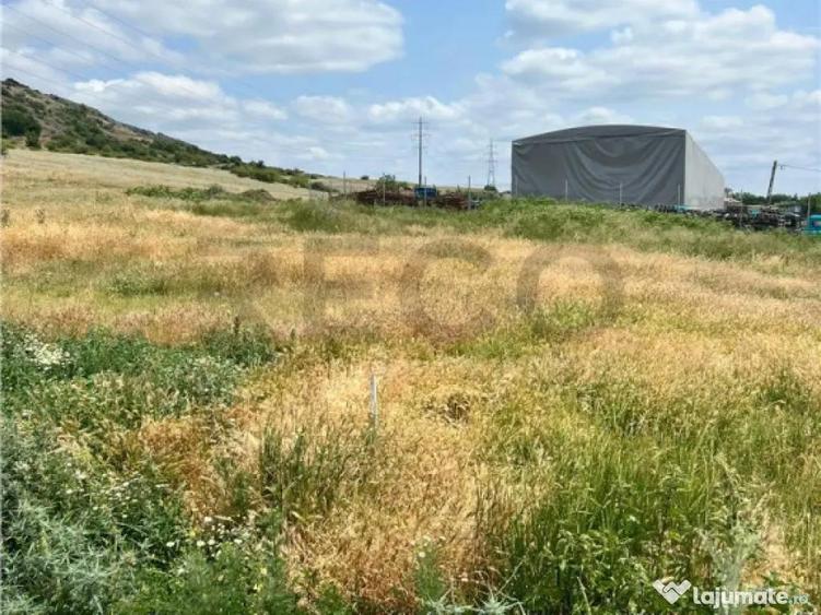 RECO teren de in zona Betfia - 3