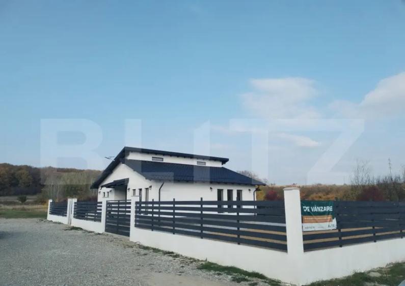 Vila individuala pe parter Priseaca - 13