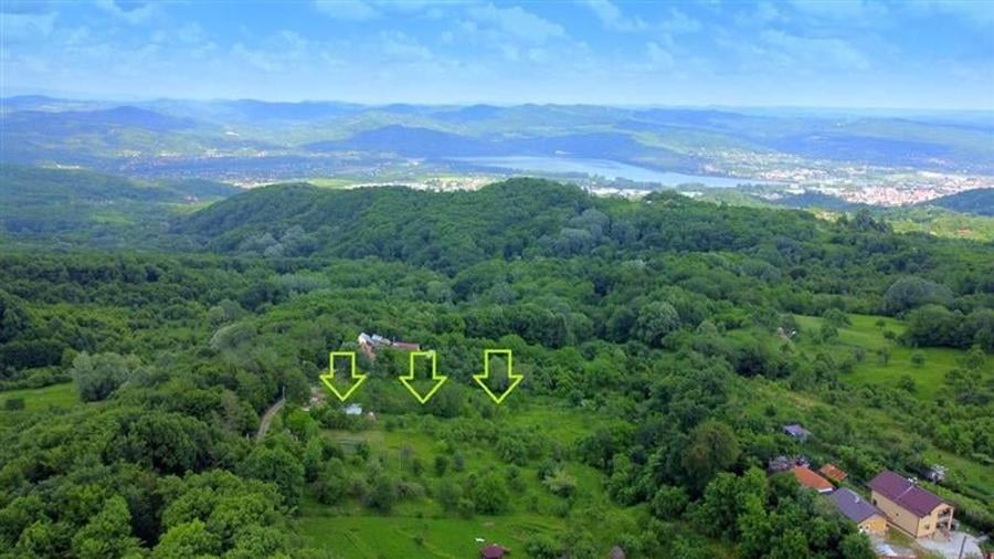 DEALUL MALULUI, TEREN 1500 MP INCONJURAT DE PADURE - 1