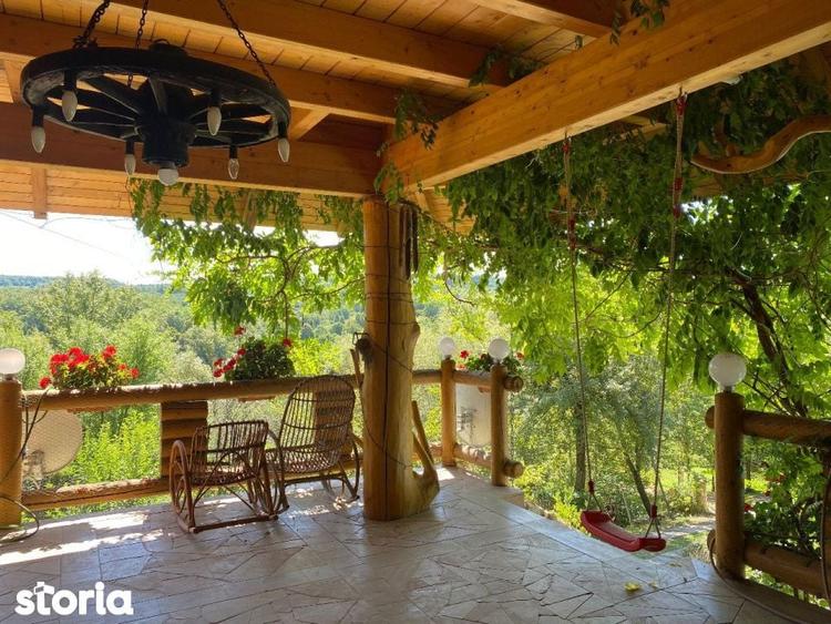 Domeniu exclusivist 17.000 mp | Vila luxury cu piscina & SPA Carbu - 12