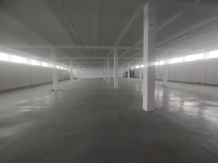 Zona Industriala - spatii versatile 500 - 1.000 mp., locuri parcare - 7