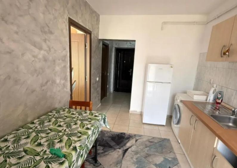 Apartament 1 camera decomandat Porii - 8