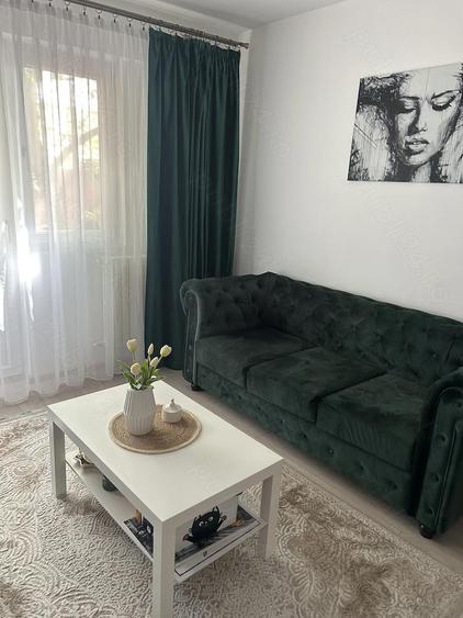 Apartament 3 camere Dr Tr Severin - 3