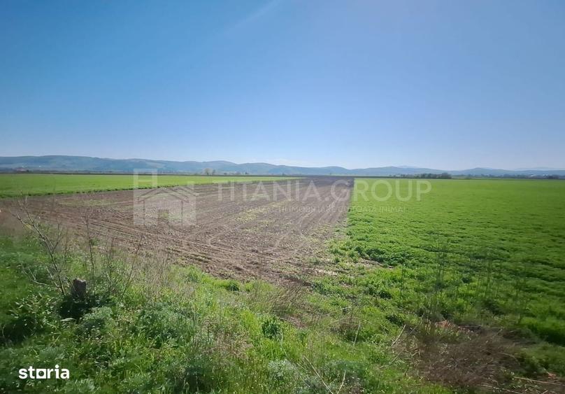 Teren extravilan, 8700 mp, pretabil agricultura sau investitie - Bod - 4