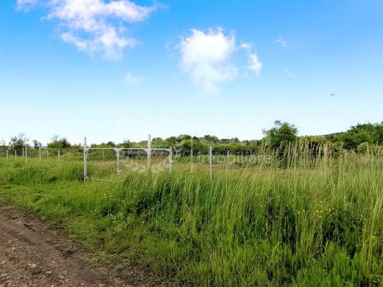 Teren 700mp parcelabil | Front 37m | Zona Mihai Romanu - Buna Ziua! - 1