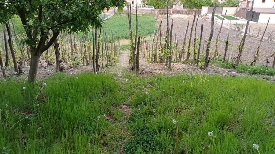 Casa de vanzare 1242 mp teren - 5