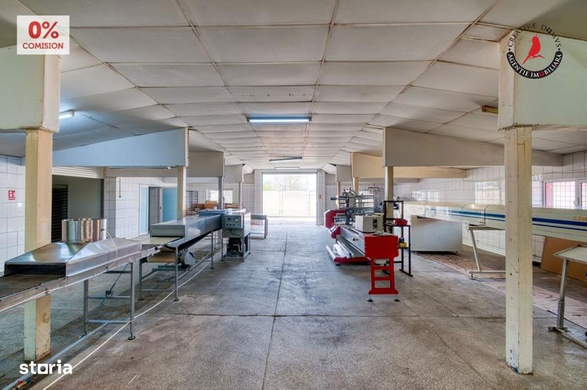 Vanzare fabrica de napolitane si dulciuri - jud. Giurgiu - 6