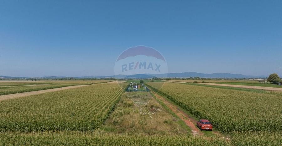 Teren de 1100 mp de vanzare in Stupini - 15