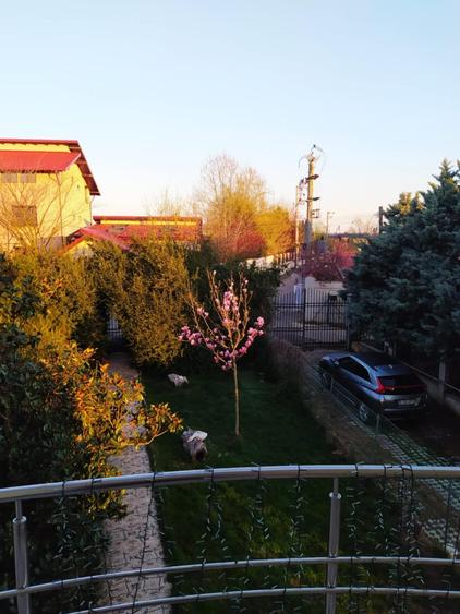 VILĂ DEOSEBITĂ PE MALUL LACULUI – MOGOȘOAIA | 1000 MP CURTE | PONTON 3 - 9