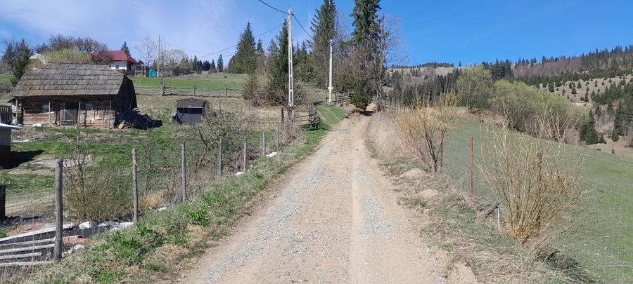 Vând casa batraneasca și teren 3892m  - 2