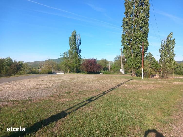 Teren de 11000 mp, în Ghioroc