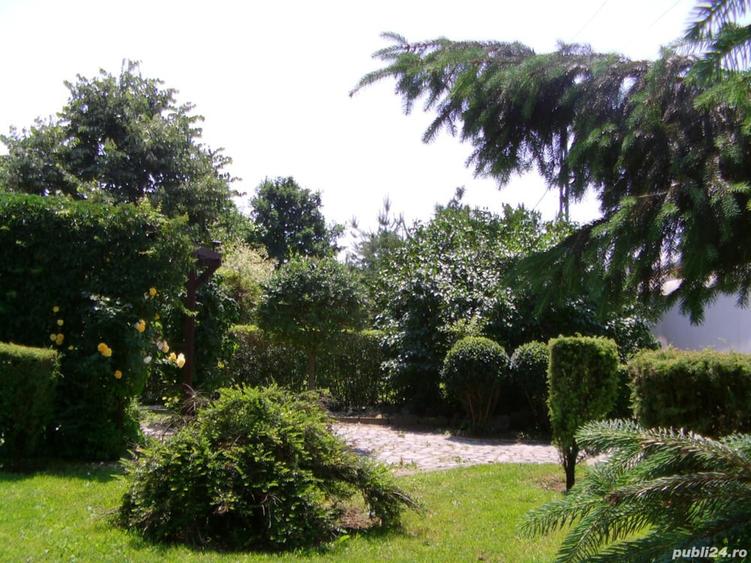 Casa Danesti - 10